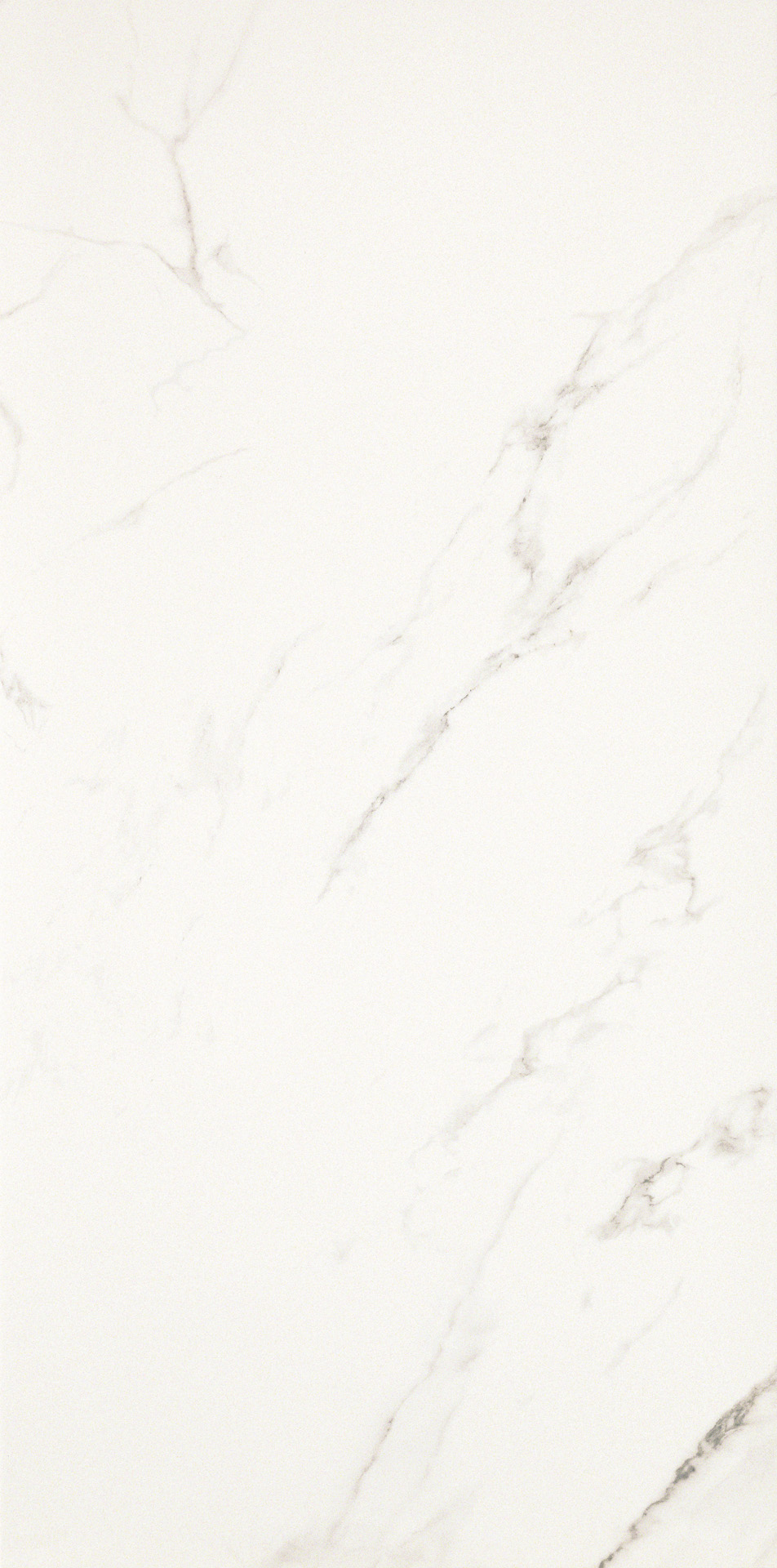 STATUARIO GRIGIO
