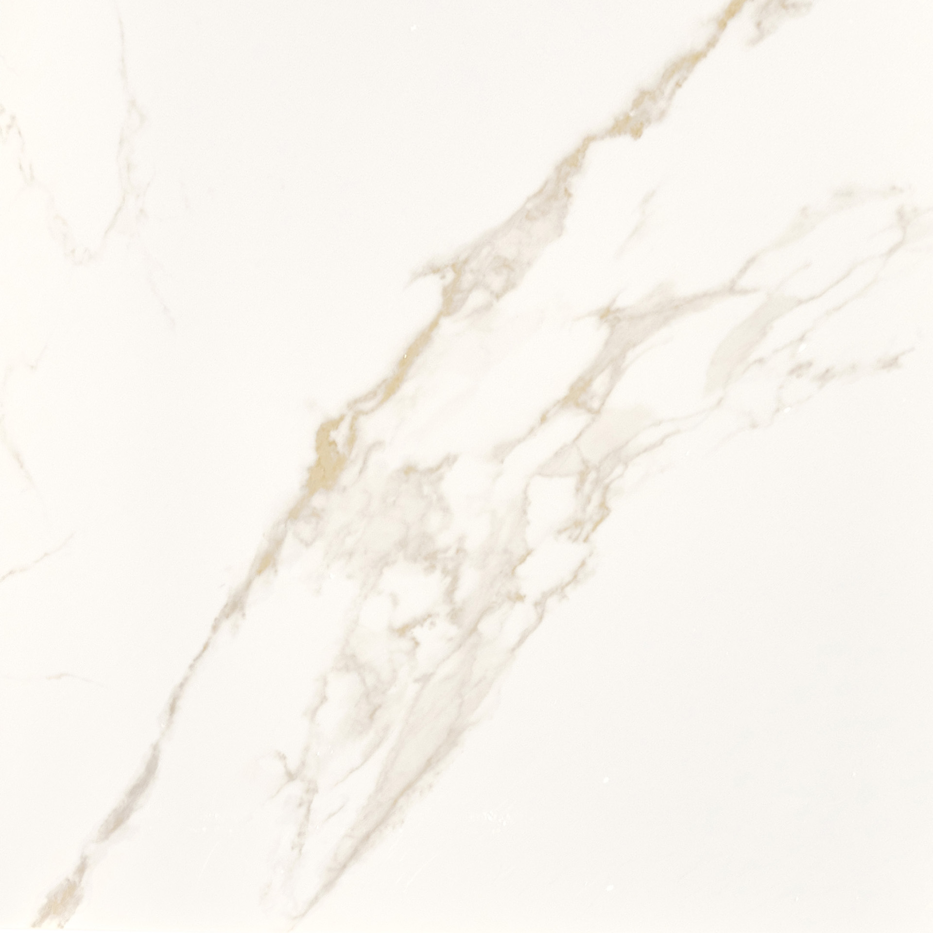 STATUARIO ORO