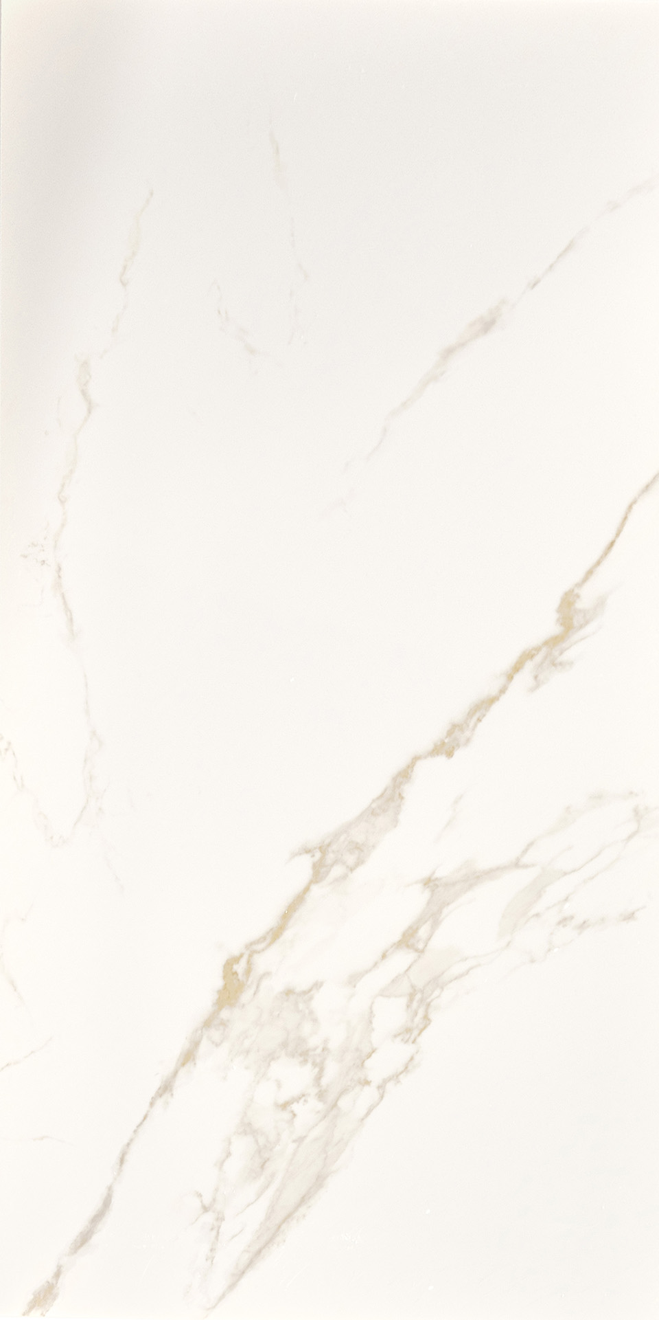 STATUARIO ORO