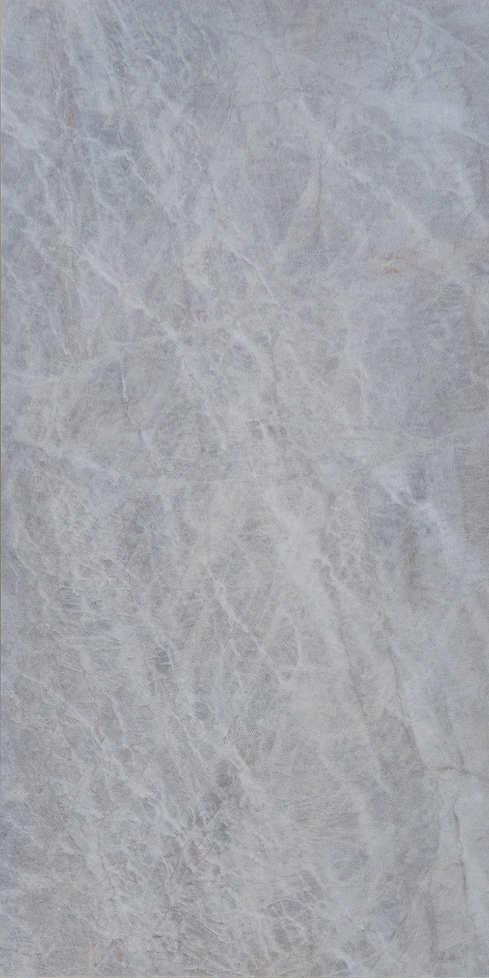 OYSTER GREY